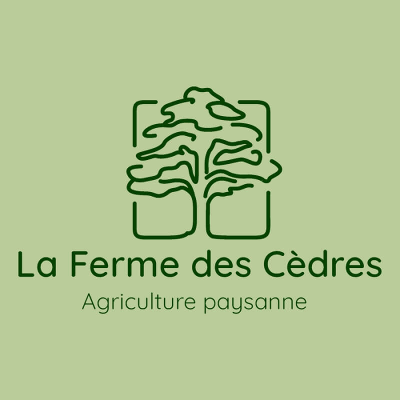 Ferme des Cèdres - Légumes