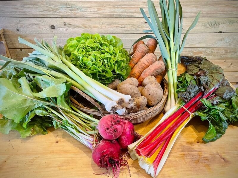 Ferme des Cèdres - Légumes