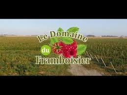 Domaine du Framboisier - Fruits Rouges